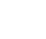 Louisiana Security Solutions